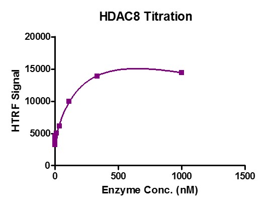 HTRF assay for HDAC8 protein activity