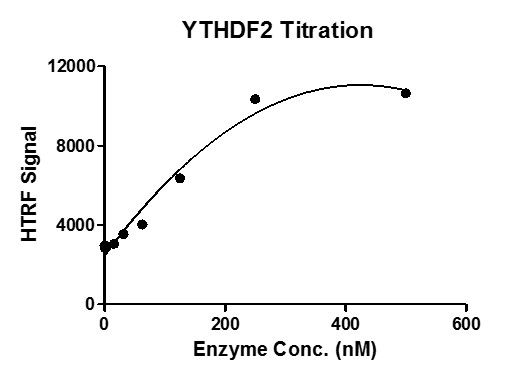 HTRF Assay for Recombinant YTHDF2 protein activity.