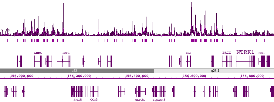 Histone H2BK5ac antibody (pAb) tested by ChIP-Seq.