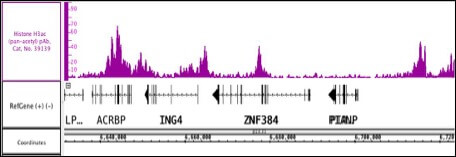 Histone H3ac (pan-acetyl) antibody (pAb) tested by ChIP-Seq.