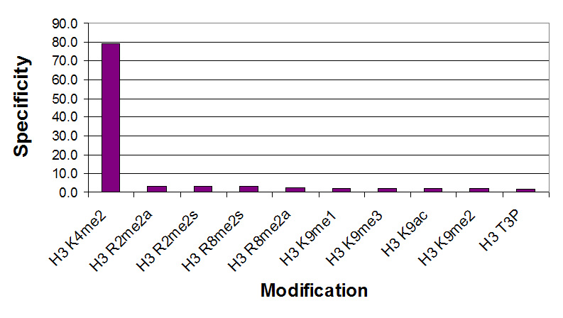 Histone H3 dimethyl Lys4 antibody specificity tested by peptide array analysis.