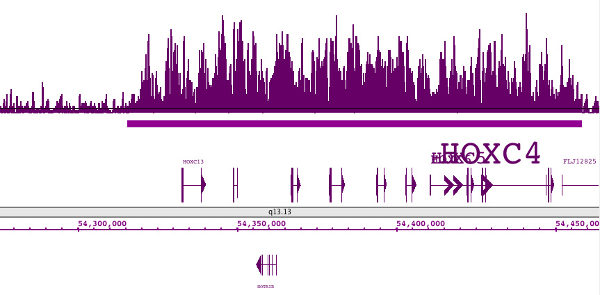 Histone H3K27me3 antibody (pAb) tested by ChIP-Seq.