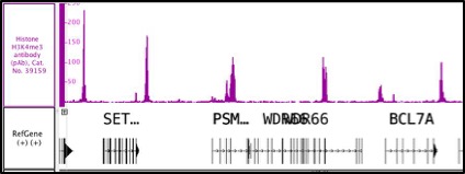 Histone H3K4me3 antibody (pAb) tested by ChIP-Seq.