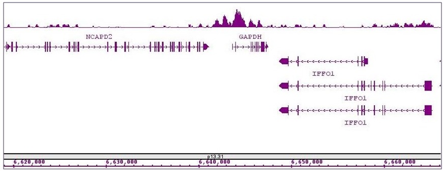 Histone H3K4ac antibody (pAb) tested by ChIP-Seq.