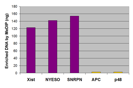 5-Methylcytosine (5-mC) antibody (mAb) tested by MeDIP analysis.