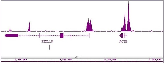 Histone H3K4me2 antibody (mAb) tested by ChIP-Seq.