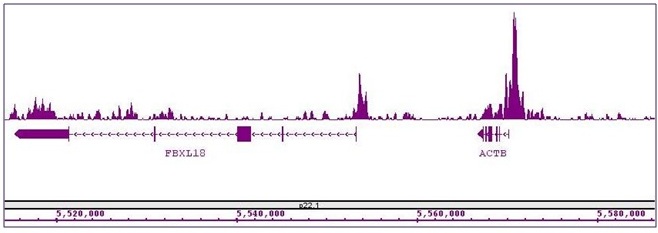 Histone H3K27ac antibody (mAb) tested by ChIP-Seq.