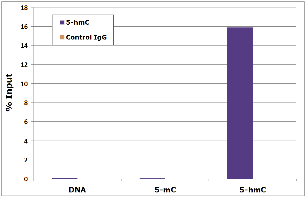 5-Hydroxymethylcytosine (5-hmC) antibody (pAb) tested by MeDIP analysis.
