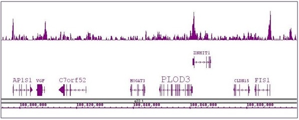 Boris / CTCFL antibody (pAb) tested by ChIP-Seq.