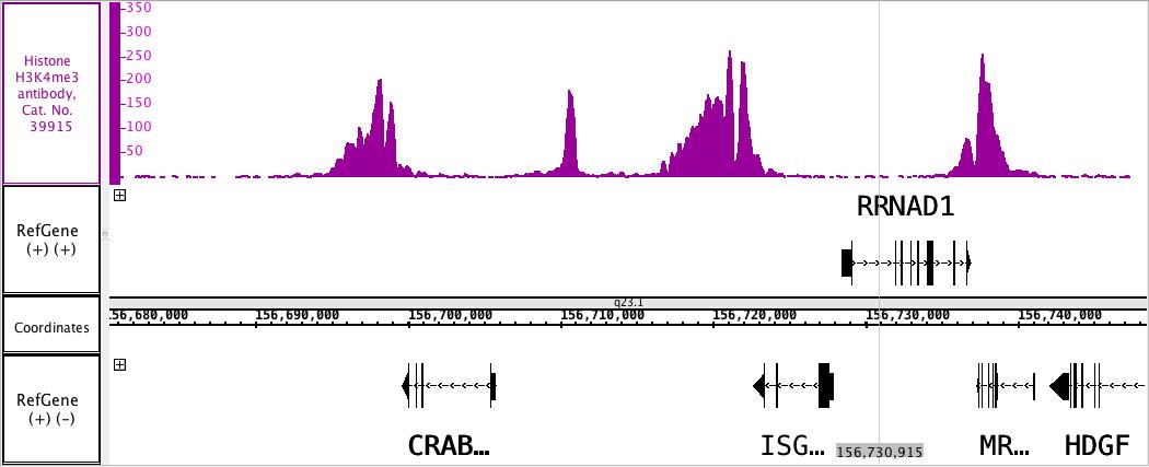 Histone H3K4me3 antibody (pAb) tested by ChIP-Seq.