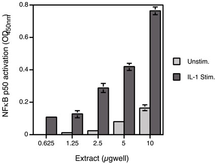 HeLa whole-cell extract (IL-1a stimulated)