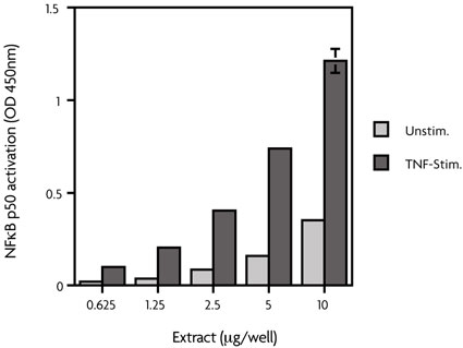 HeLa whole-cell extract (TNF-a stimulated)
