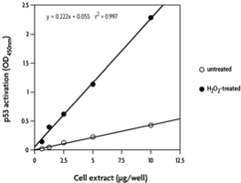 Figure 1: Monitoring p53 activation with the TransAM p53 Kit.