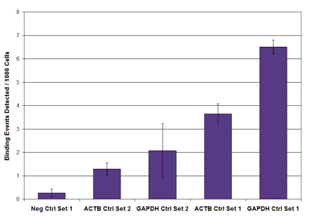 RNA pol II CTD phospho Ser5 antibody (mAb) tested by ChIP.