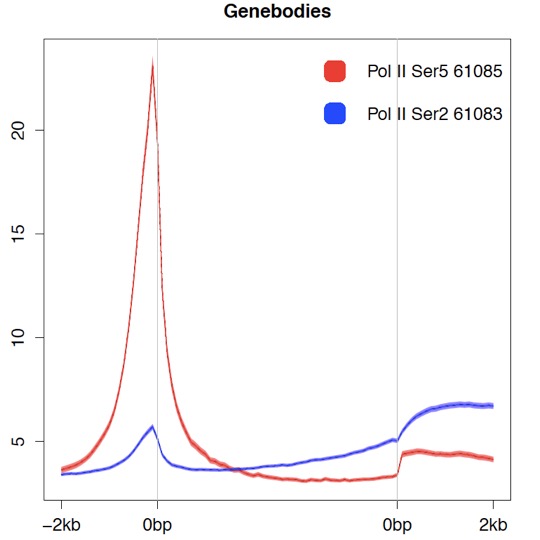 RNA pol II CTD phospho Ser5 antibody (mAb) tested by ChIP-Seq.