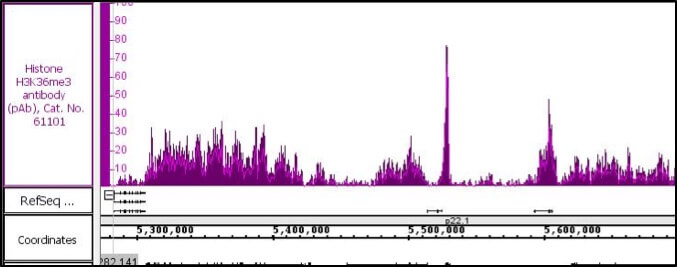Histone H3K36me3 antibody (pAb) tested by ChIP-Seq.