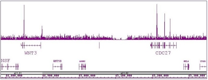 TCF7L1 / TCF3 antibody (pAb) tested by ChIP-Seq.