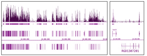 Histone H3K9ac antibody (mAb) tested by ChIP-Seq.
