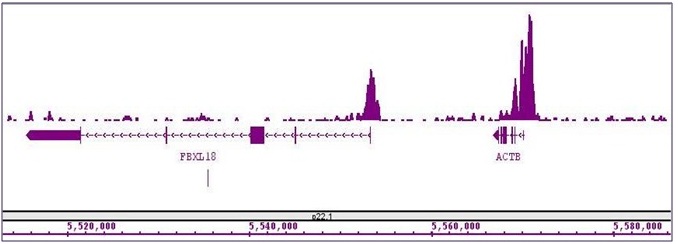 Histone H3K4me3 antibody (mAb) tested by ChIP-Seq.