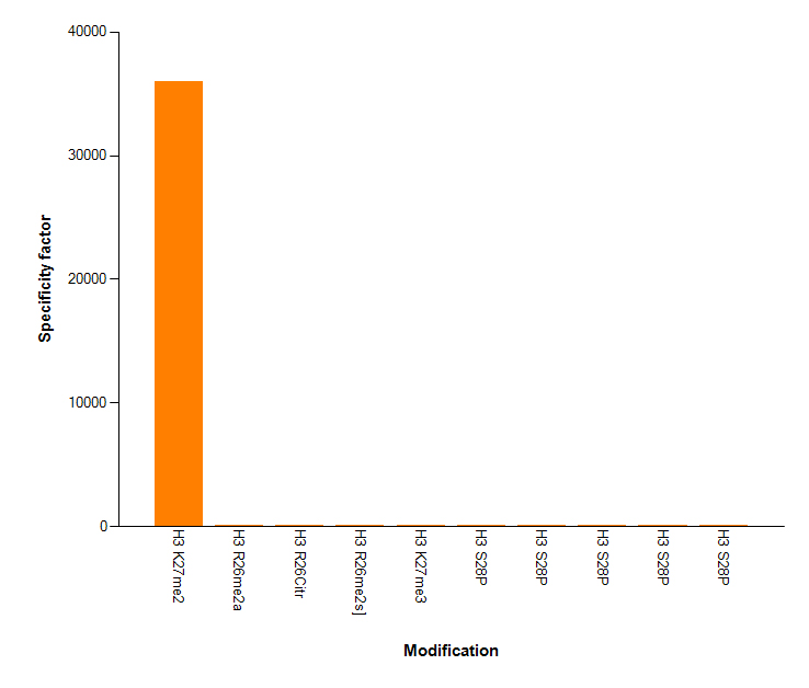 Histone H3K27me2 antibody (mAb) specificity tested by peptide array analysis.