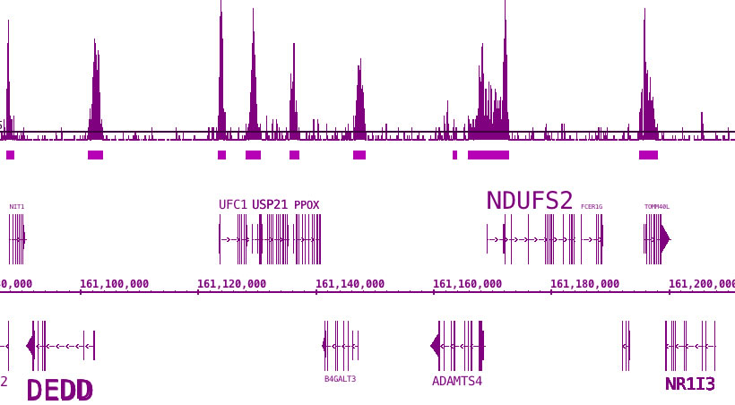 BRD3 antibody (pAb) tested by ChIP-Seq.
