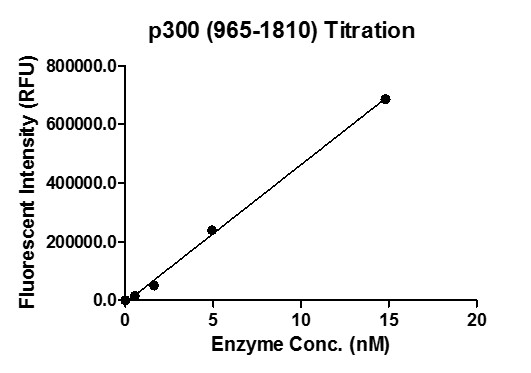 HAT Assay for recombinant p300 (965-1810) protein activity