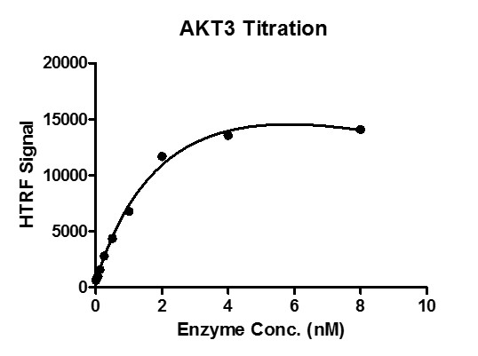 HTRF assay for recombinant AKT3 protein activity