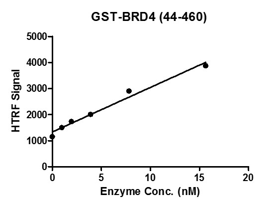 HTRF assay for BRD4 (44-460), GST-Tag activity