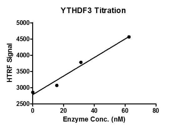 HTRF assay for YTHDF3 protein activity