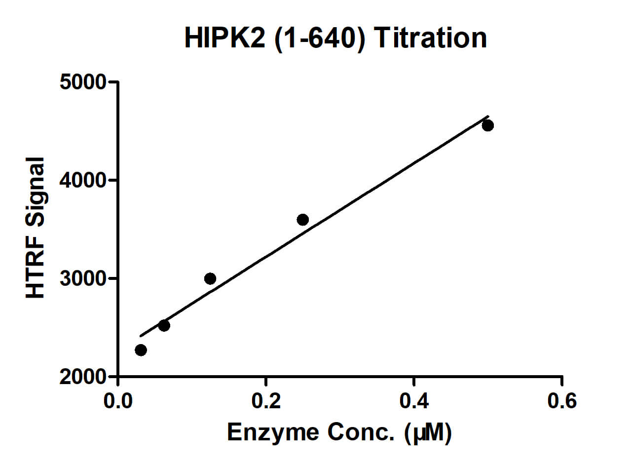 HTRF assay for HIPK2 (1-640) activity