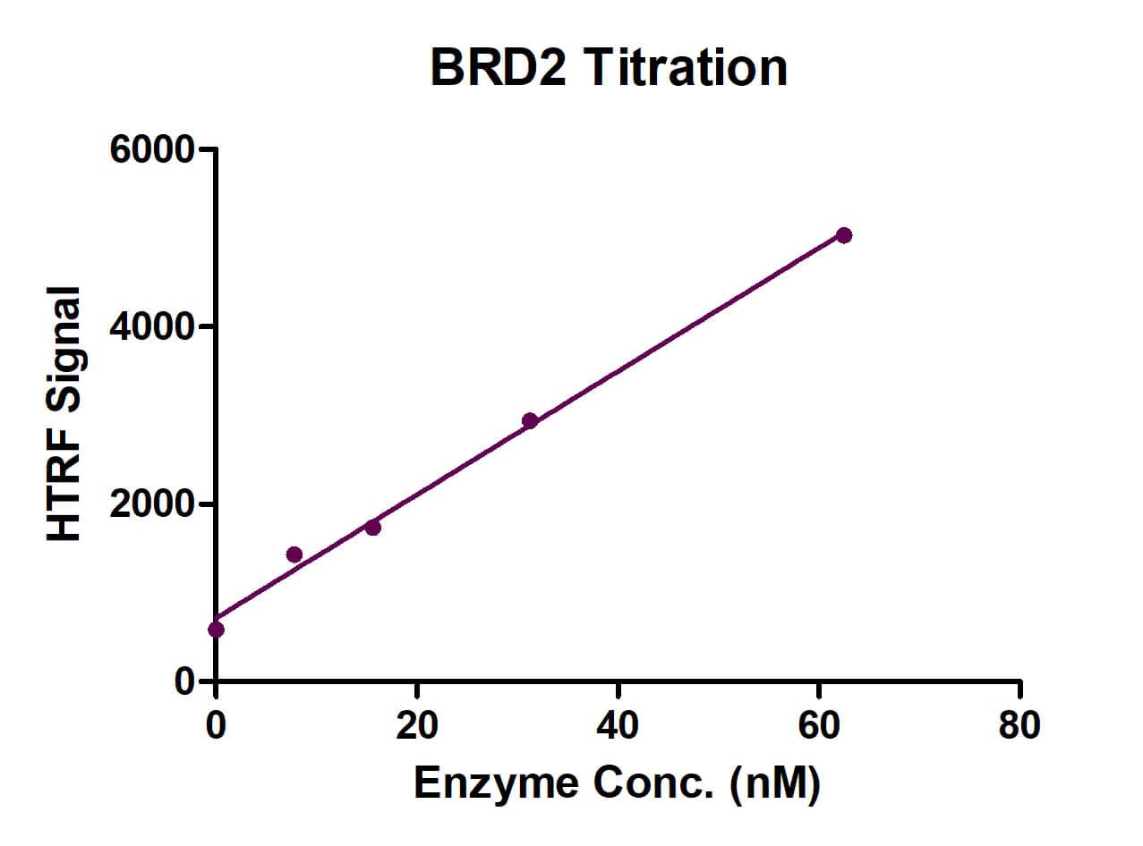 Recombinant BDR2 HTRF activity assay