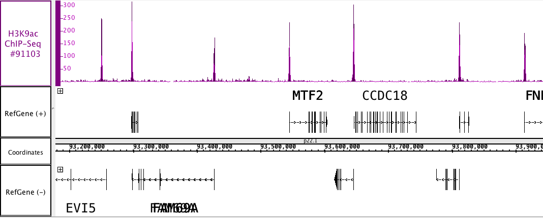 AbFlex<sup>&reg;</sup> Histone H3K9ac antibody (rAb) tested by ChIP-Seq.