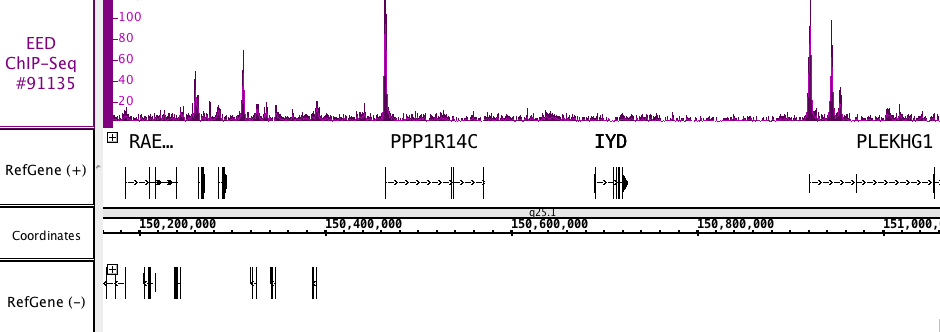 AbFlex<sup>&reg;</sup> EED antibody (rAb) tested by ChIP-Seq.