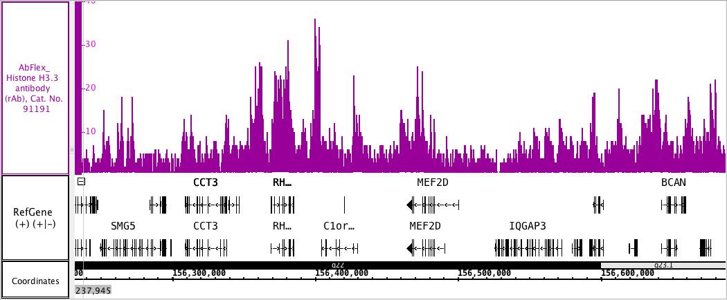 AbFlex<sup>&reg;</sup> Histone H3.3 (rAb) tested by ChIP-Seq.