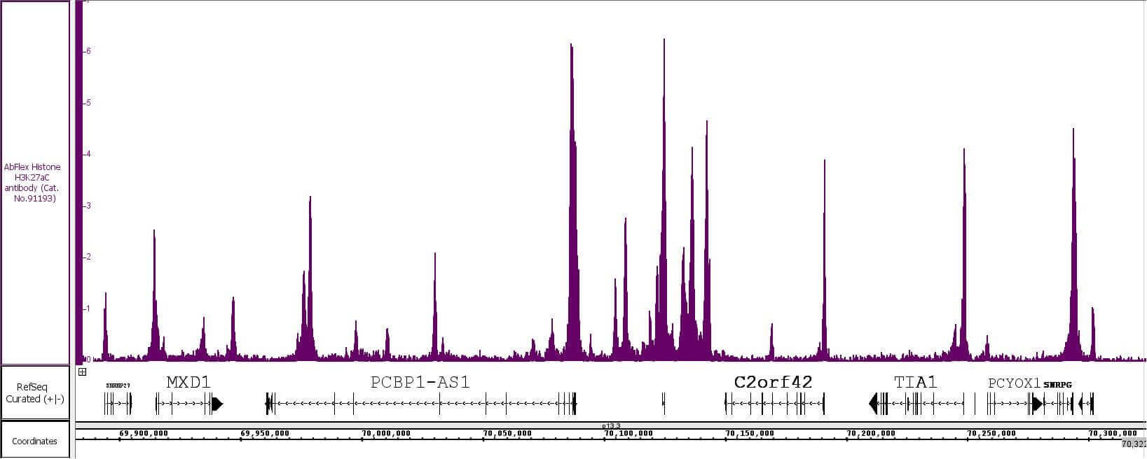 AbFlex<sup>®</sup> Histone H3K27ac antibody (rAb) tested by TIP-ChIP.