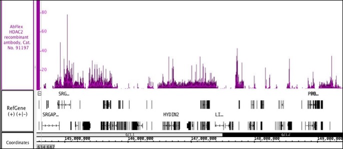 AbFlex<sup>&reg;</sup> HDAC2 antibody (rAb) tested by ChIP-Seq.