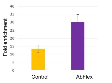 AbFlex<sup>&reg;</sup> Ago 1/2/3 antibody (rAb) tested by immunoprecipitation.