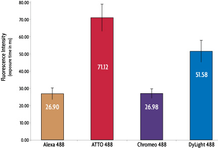 Exposure times of 488-excitable antibodies to reach equal fluorescence intensity