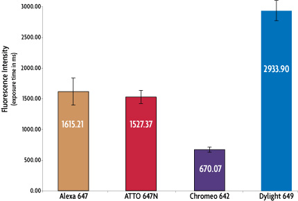 Exposure times required by various dark-red emitting dyes to reach equal fluorescence