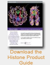Histone Product Guide