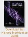 Histone Modification Guide