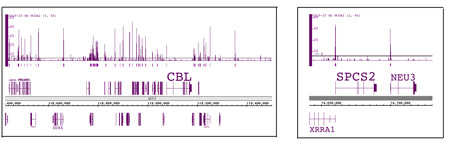 ChIP-Seq data for the low abundance target NCOA