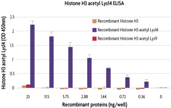 Specificity of Histone H3 acetyl Lys14 ELISA