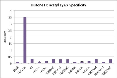 Specificity of Histone H3 acetyl Lys27 ELISA