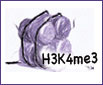 H3K4me3 modification
