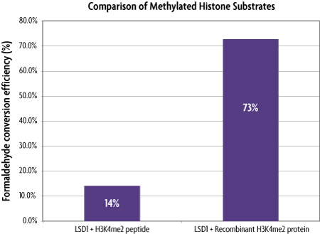 Comparison of histone H3K4me2 peptide versus recombinant H3K4me2 protein as LSD1 susbstrate.
