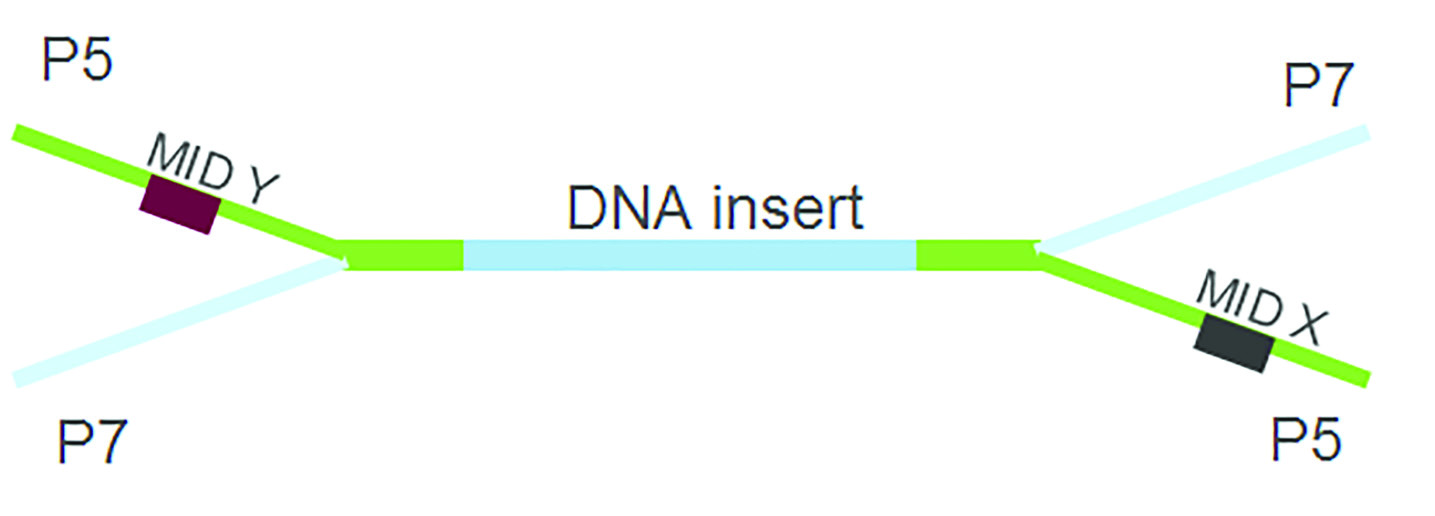 Schematic of MID