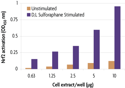 Monitoring Nrf2 activation