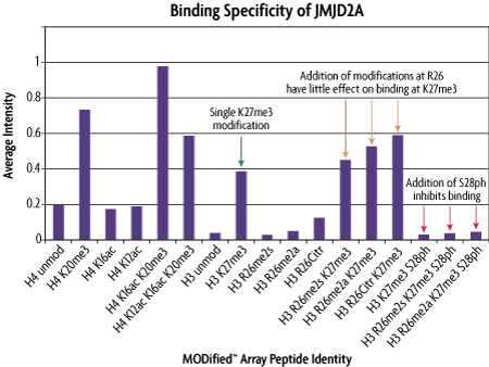 Graphical analysis of JMJD2A protein domain binding specificity