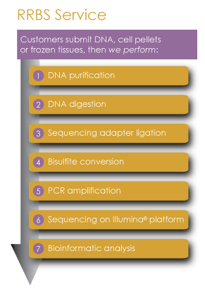 RRBS Overview flow chart